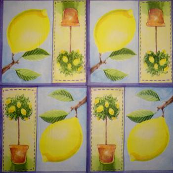 208 Zitronen, Orangen - 3-lagig